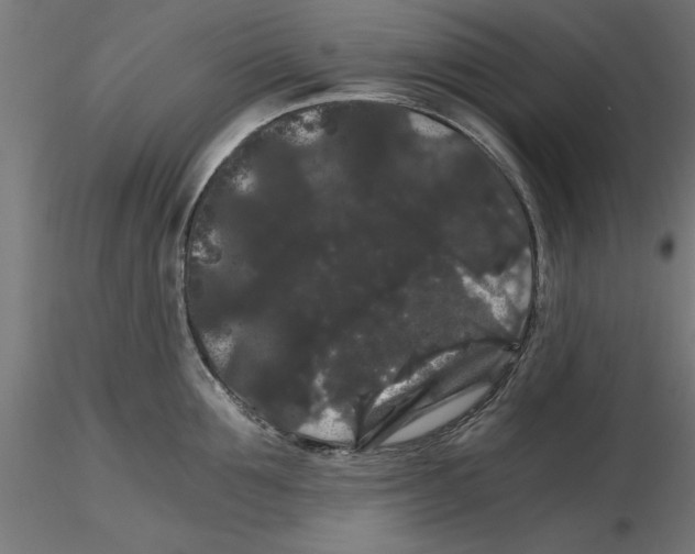 X0000116480907201001061117