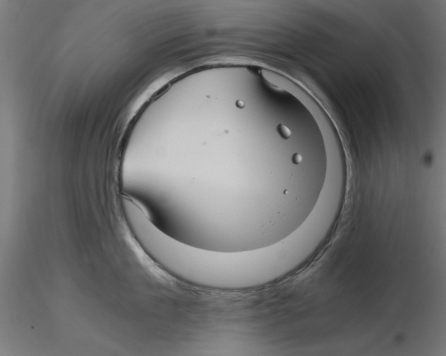 X0000116480909201001061117