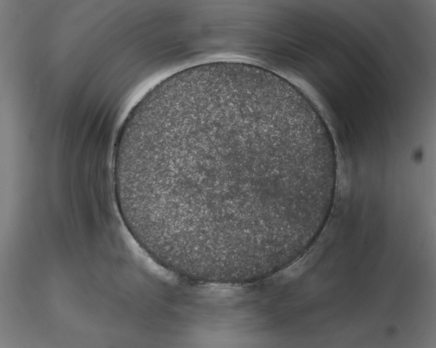 X0000116480910201001061117