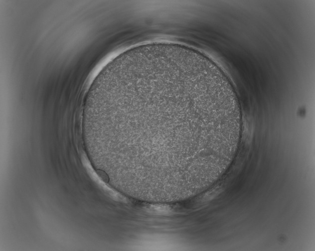 X0000116480911201001061117