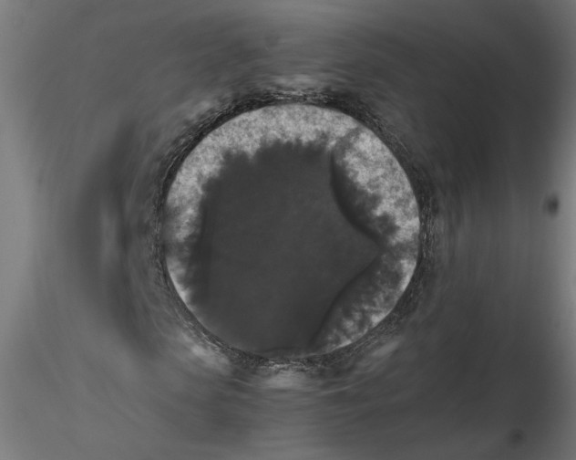 X0000116480913201001061117