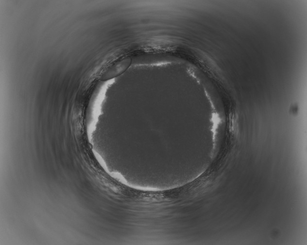 X0000116480915201001061117