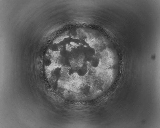 X0000116480917201001061117