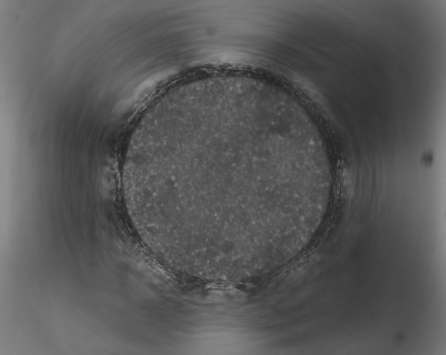 X0000116480918201001061117