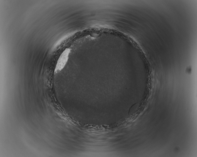 X0000116480919201001061117