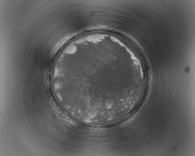 X0000116480921201001061117