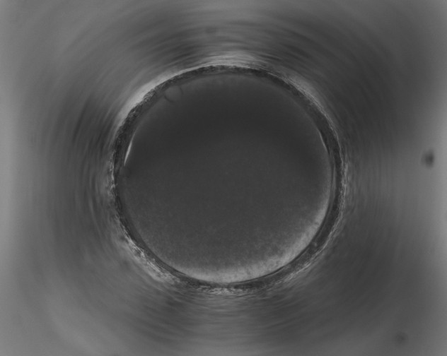 X0000116480923201001061117