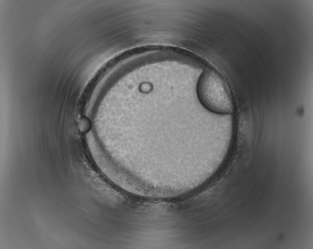 X0000116480926201001061117