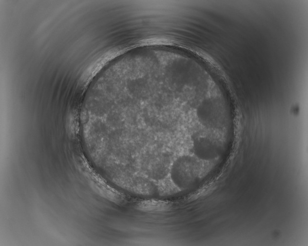 X0000116480929201001061117