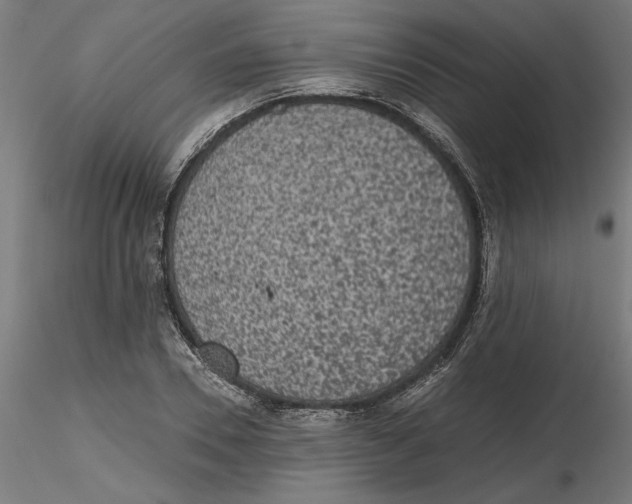 X0000116480930201001061117