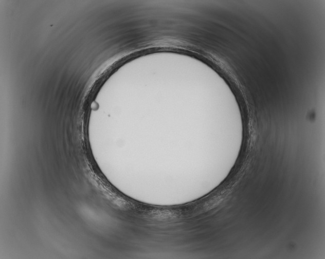 X0000116480931201001061117