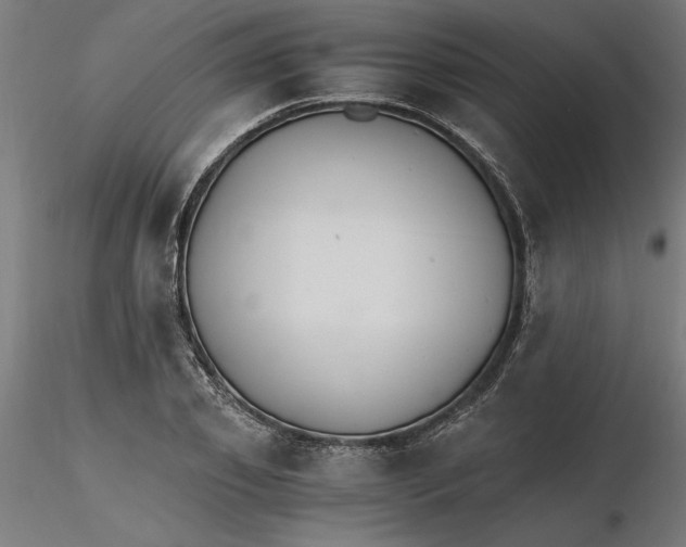 X0000116480933201001061117