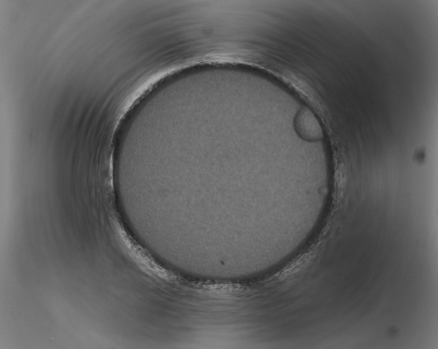 X0000116480934201001061117