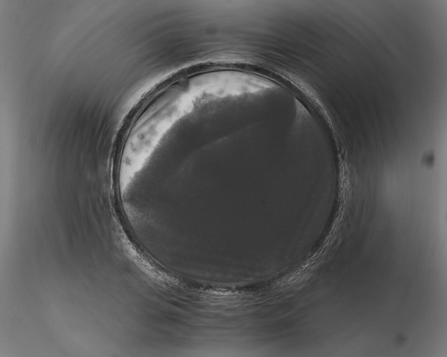 X0000116480935201001061117