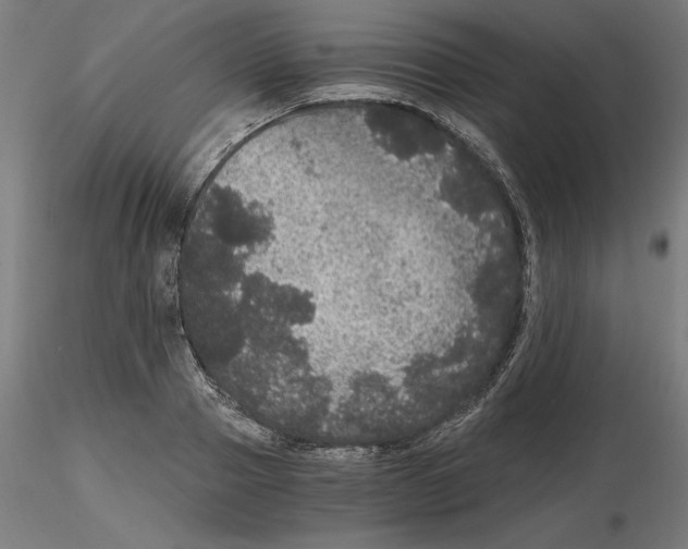 X0000116480937201001061117