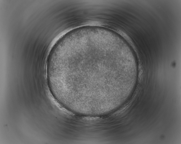 X0000116480939201001061117