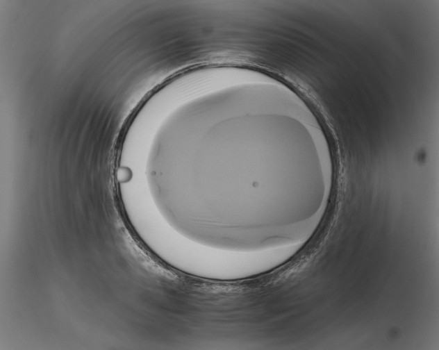 X0000116480941201001061117