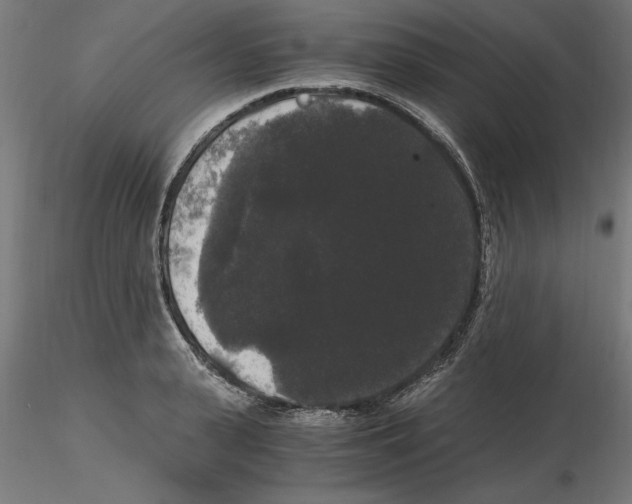 X0000116480943201001061117