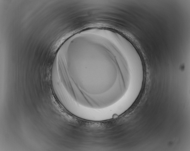 X0000116480945201001061117