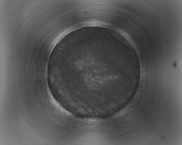 X0000116480946201001061117