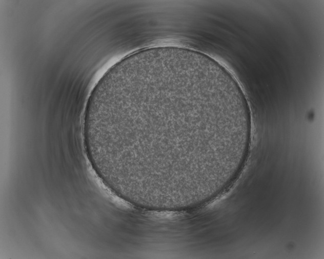 X0000116480949201001061117