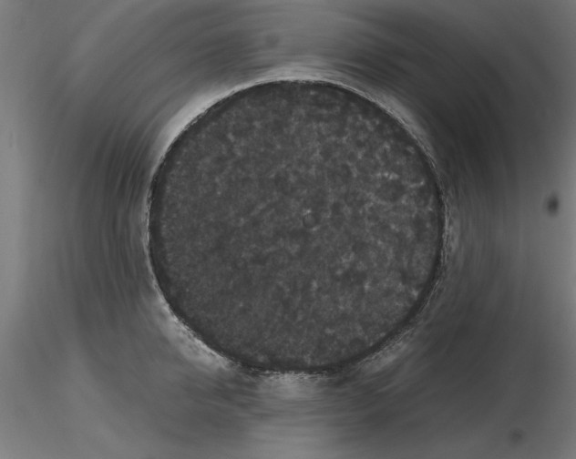 X0000116480950201001061117