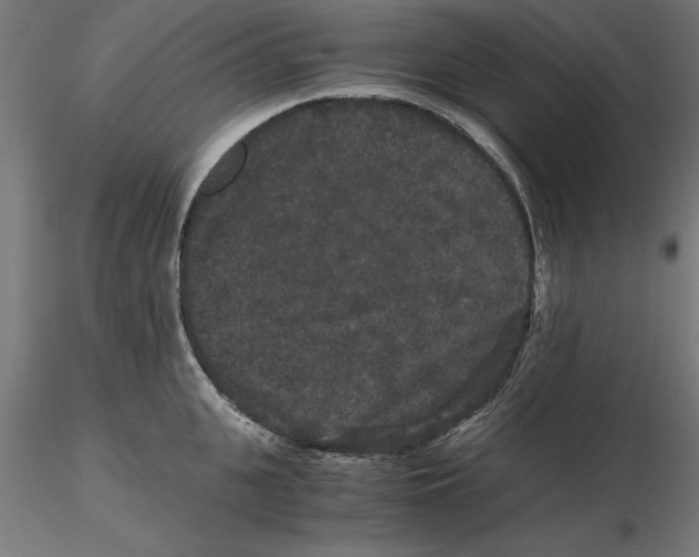 X0000116480951201001061117