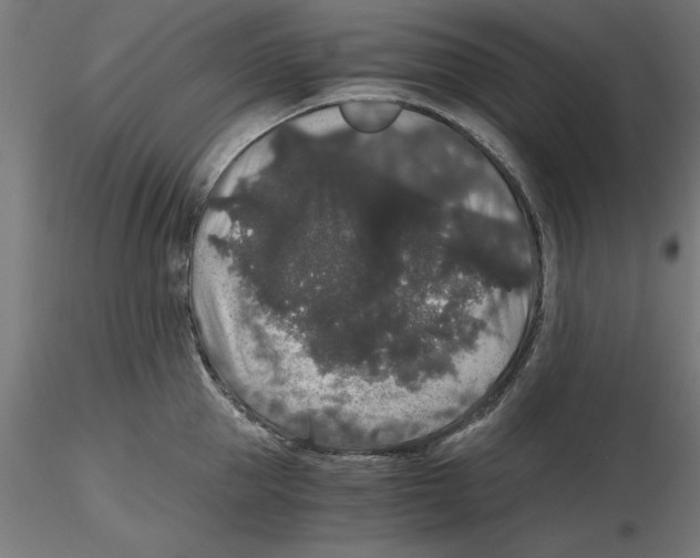 X0000116480953201001061117