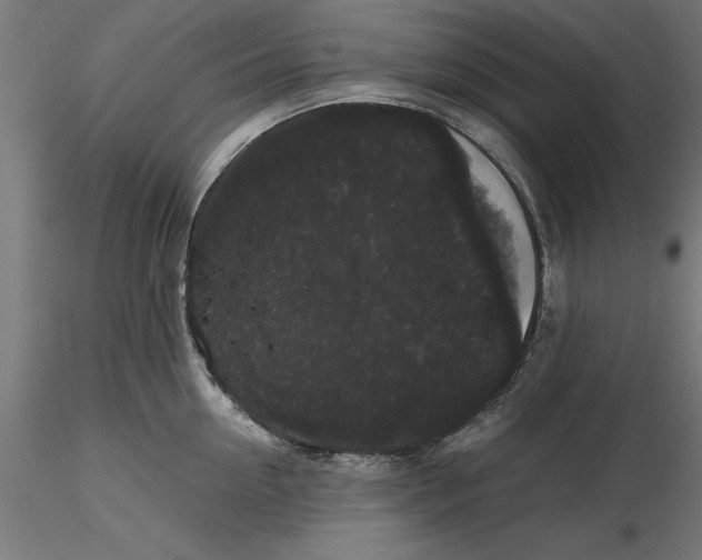 X0000116480954201001061117