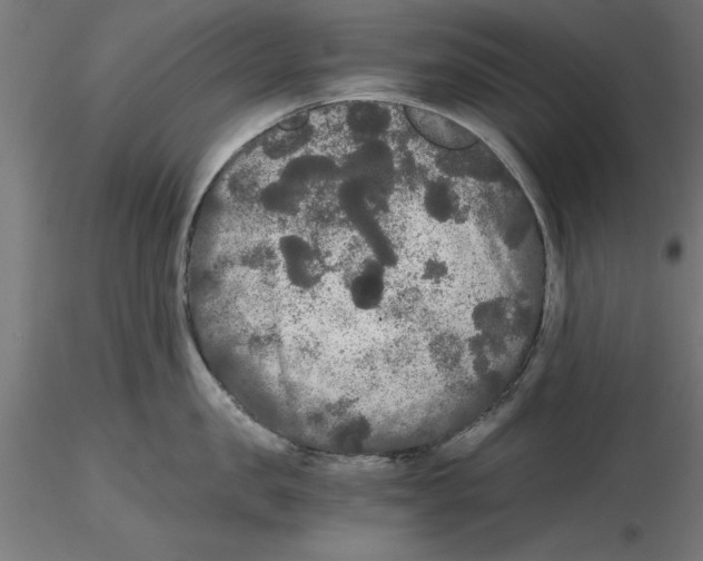 X0000116480957201001061117