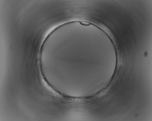 X0000116480958201001061117