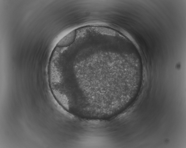 X0000116480959201001061117