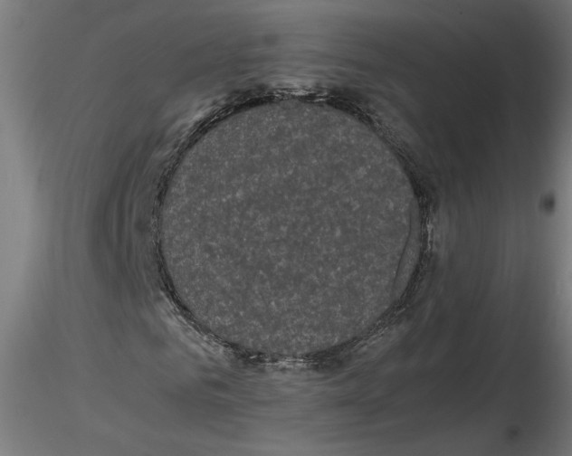 X0000116480961201001061117