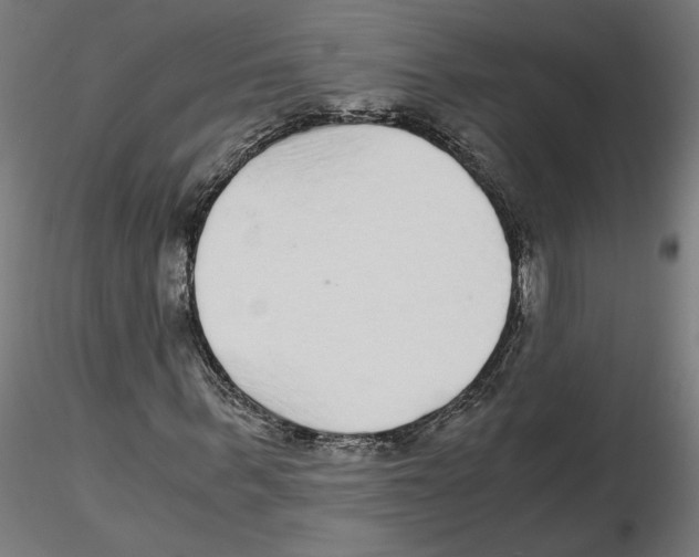 X0000116480963201001061117