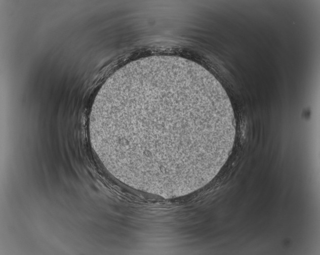 X0000116480964201001061117