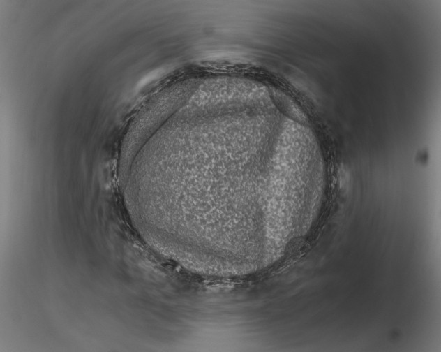 X0000116480965201001061117