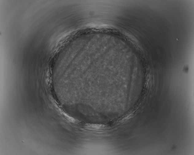 X0000116480966201001061117