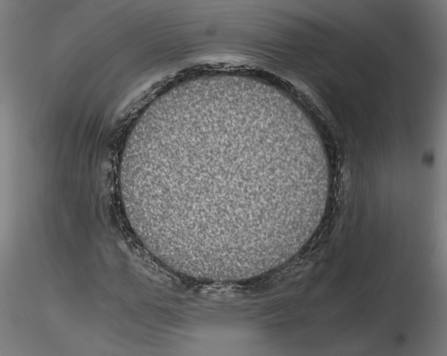 X0000116480967201001061116