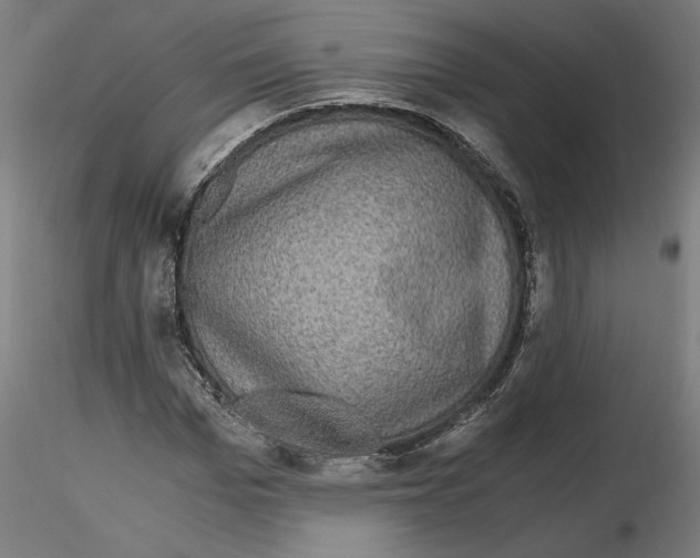 X0000116480969201001061116