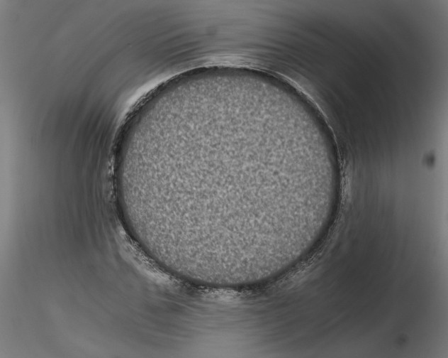 X0000116480971201001061116