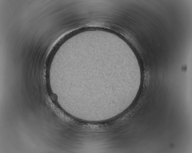 X0000116480976201001061116