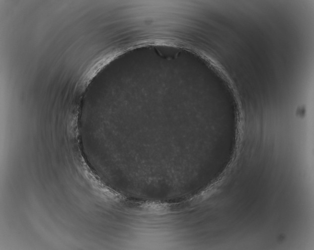 X0000116480977201001061116