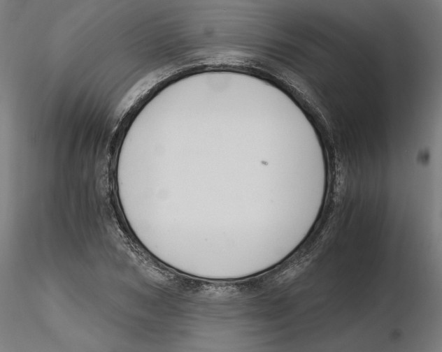 X0000116480978201001061116