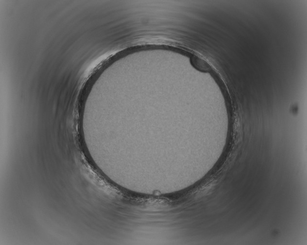 X0000116480979201001061116