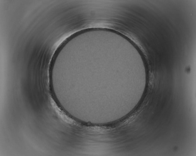 X0000116480980201001061116