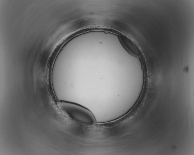 X0000116480981201001061116