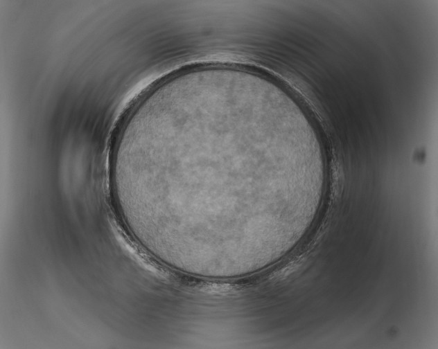 X0000116480982201001061116