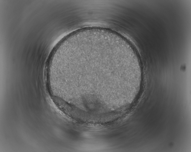 X0000116480983201001061116