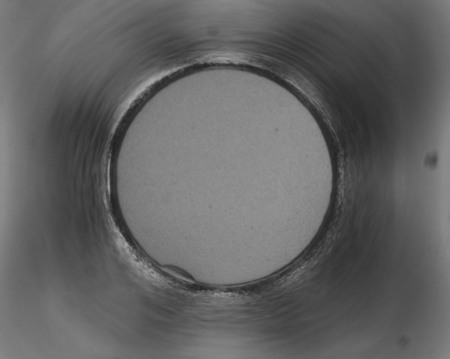 X0000116480984201001061116