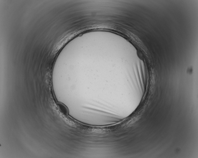 X0000116480985201001061116